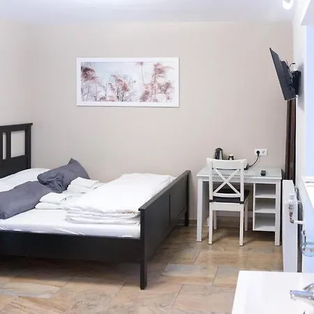 Hotel Frankenthaler Hof 2*