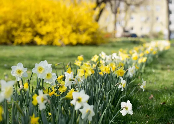 Hotel Frankenthaler Hof 2*