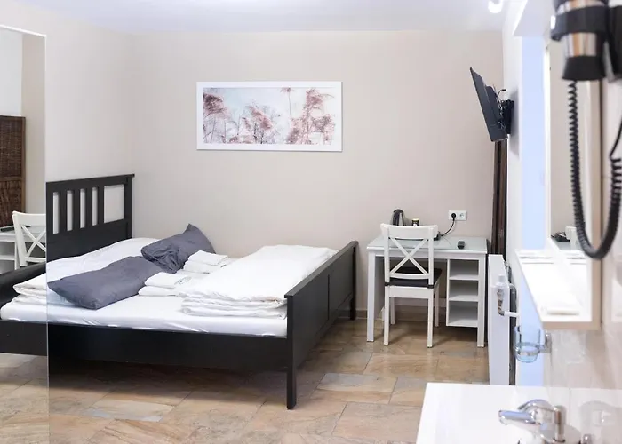 Hotel Frankenthaler Hof 2*