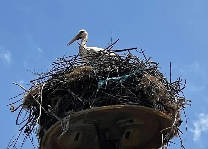 Hotel Frankenthaler Hof Frankenthal (Rhineland-Palatinate)